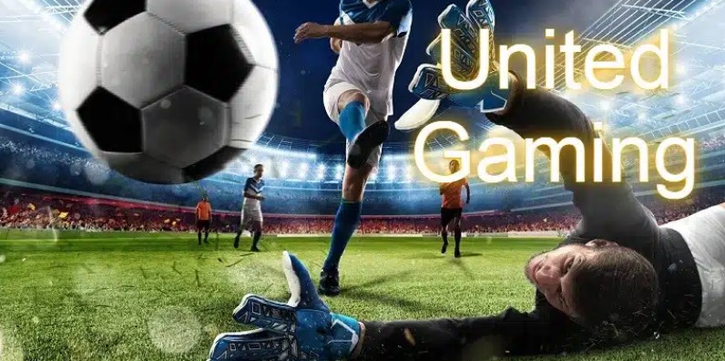 Lý do nên tham gia cá cược tại United Gaming King88?