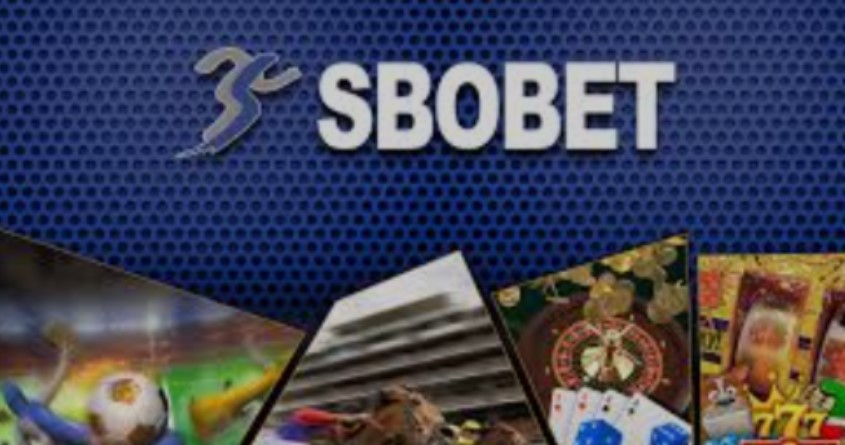 Những loại cá cược phổ biến trong sảnh SBOBET tại King88