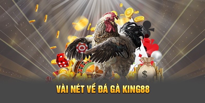 Giới thiệu sảnh đá gà King88