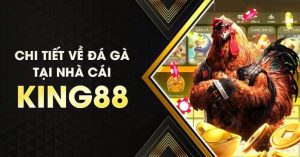 Hướng dẫn cá cược đá gà King88 trực tuyến đơn giản